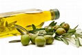 Olive Oil 1