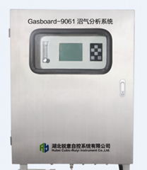 Continuous Biogas Analysis System Gasboard-9060 Bio gas Digeste