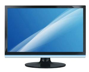 21.5" LCD Monitor