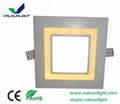 LED panel light  two color segmented 2