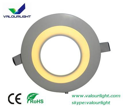 LED panel light  two color segmented