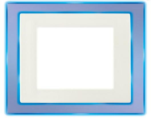 LED panel light  two color segmented 4