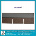 asphalt shingle