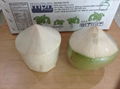 Young Fresh Coconuts 3