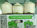 Young Fresh Coconuts 4