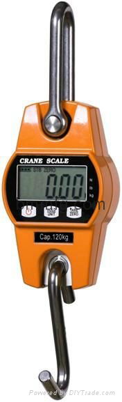 Crane scale 5