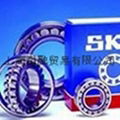 SKF 6000軸承