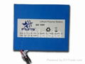 36V 10ah Ebike Battery Pack,  Eco Friendly Li-Polymer Battery