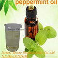 Peppermint Oil,Mint oil Manufactory  1