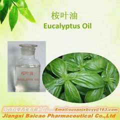 Eucalyptus Oil with Cineole 70%-99%