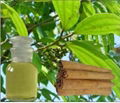 Pure Cassia Oil/Cinnamon Oil For