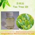 天然茶樹油 2