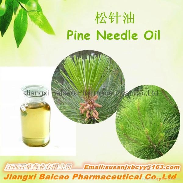 Natural Pine Needle Oil for Healthcare products Fir Oil