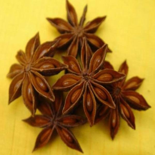  100% Natural and Pure Star Anise Oil Essential Oil/Aniseed Essential Oil 3