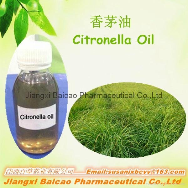 Natural Pure Citronella Oil Export