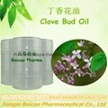 Natural Clove OIl distilled from clove leaf/flower. 4
