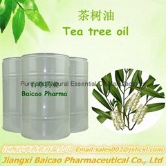 100% Natural and Pure Tea tree Oil Bulk quantity for Exporting