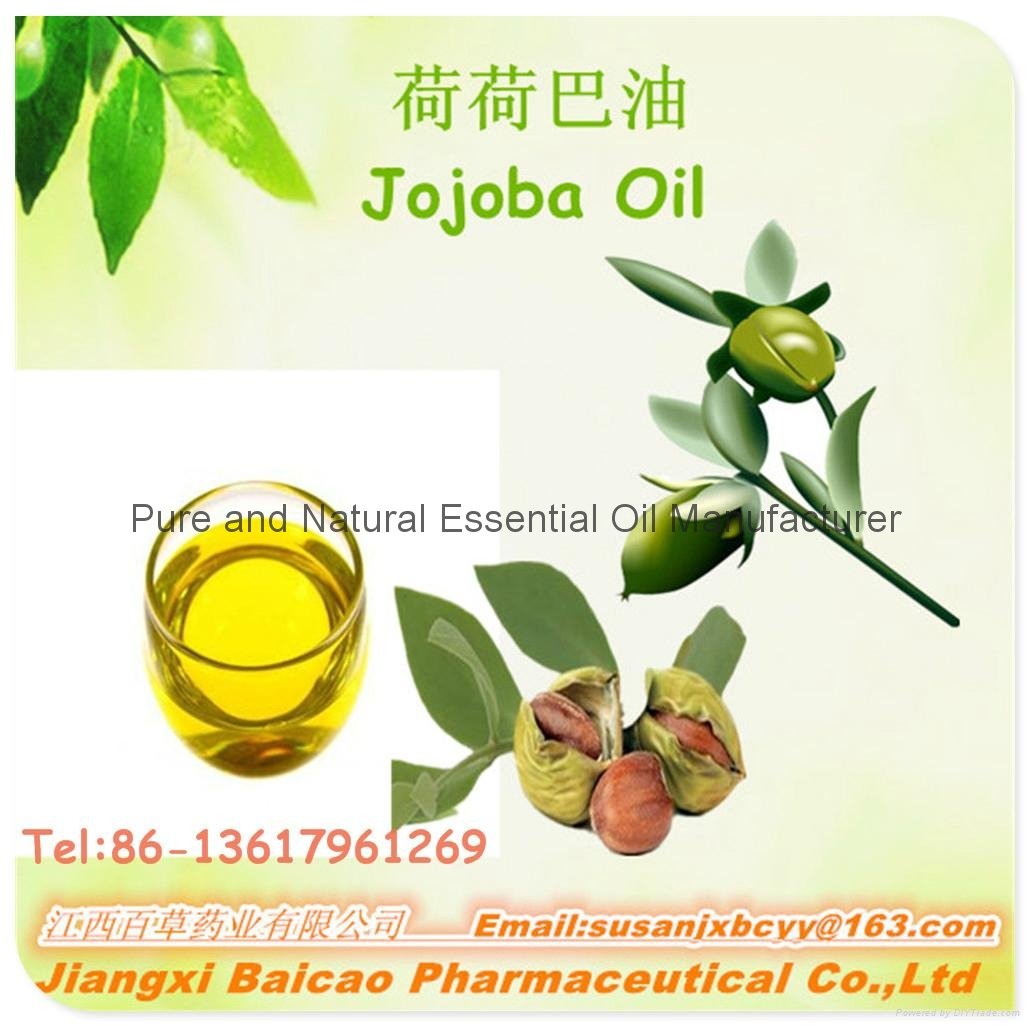 Natural Jojoba oil 2