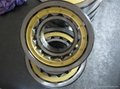 cylindrical roller bearing 5