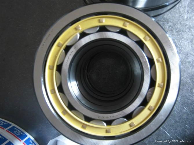 cylindrical roller bearing 3