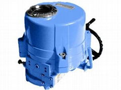 Electric Actuator of Motorized Valve