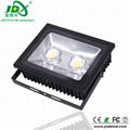 100W 70degree Bridgelux meanwell LED