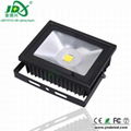 50W Bridgelux Meanwell LED Flood Light