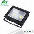 100W Bridgelux meanwell LED Flood Light