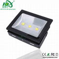 150W bridgelux meanwell LED Flood Light