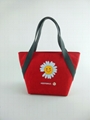 2020 New Cooler bag for picnic and