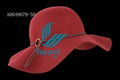 Fashion trendy wide brim wool felt