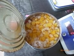 China Canned Fruit Cocktail In L/S
