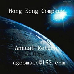 Hong Kong Company Annual Return