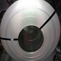 stainless steel strip