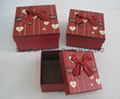 Nice Gift  Boxes with Ribbon 9