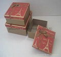 Nice Gift  Boxes with Ribbon 10