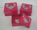 Nice Gift  Boxes with Ribbon 12