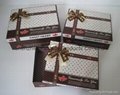Nice Gift  Boxes with Ribbon 14