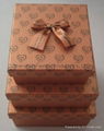 Nice Gift  Boxes with Ribbon 17