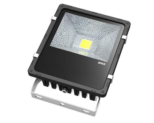 LED Flood light