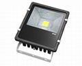 LED Flood light 1