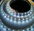 LED Strip Light 1