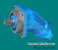 Rexroth Hydraulic motor A2FM32 A2FM45 A2FM56 A2FM63 A2FM80 A2FM 90 A2FM180 3