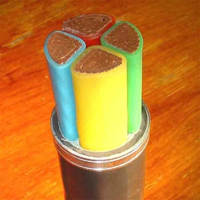 mechanical control cable 5