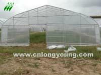 Economical Tunnel Greenhouse