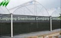 Saw Tooth Greenhouse