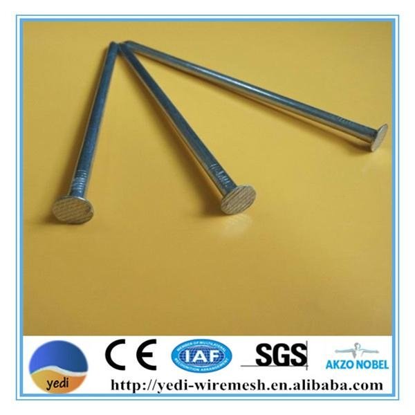 metal iron wire common nails