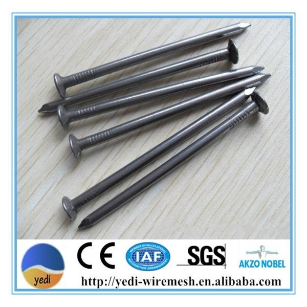 metal iron wire common nails 2