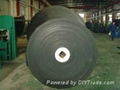 Long-Life Circular Conveyor Belt 5