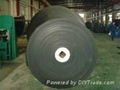 Promoting New &Best Cotton Conveyor Belt 3